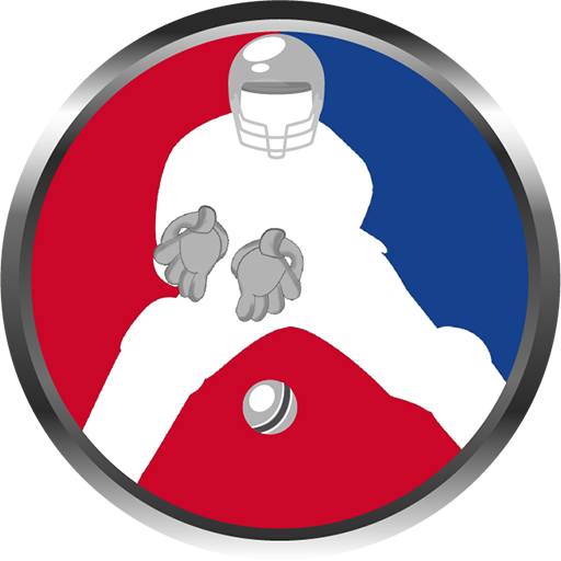 Mr. Keeper - WicketKeeper Fielding Game icon
