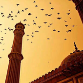 برنامج المؤذن أيقونة