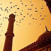 برنامج المؤذن on 9Apps