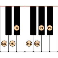 DG Piano Scales