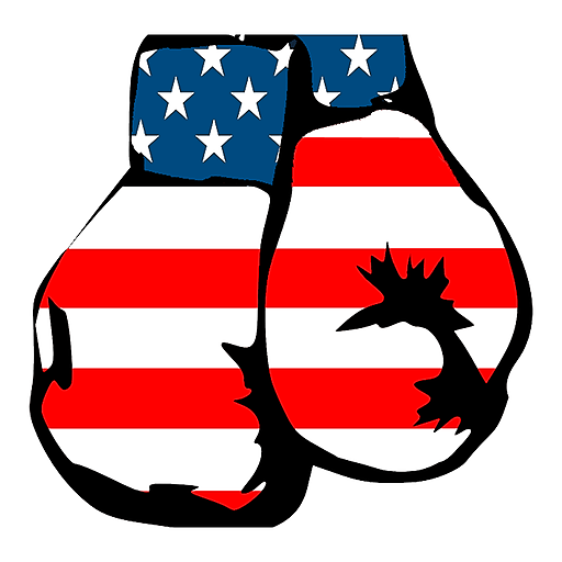 Election Fight 2020: Trump vs Biden icon