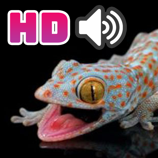 Suara Tokek HD icon