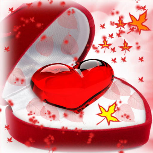 Valentine Diy Photo HD icon