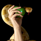 Apple Snake Live Wallpaper icon