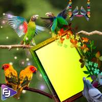 Birds DP Photo Frame on 9Apps