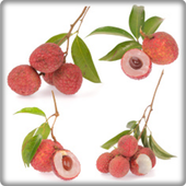 New Lychee Fruit Onet Game icon