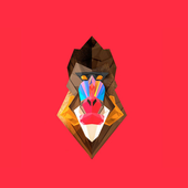 Vector Wallpapers HD icon