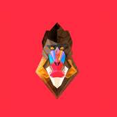 Vector Wallpapers HD on 9Apps