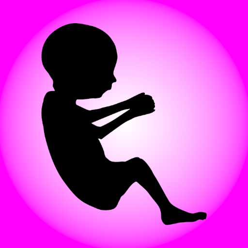 My Pregnancy Info Widget icon