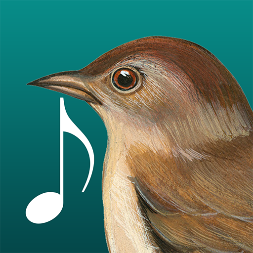 Birds Sound icon