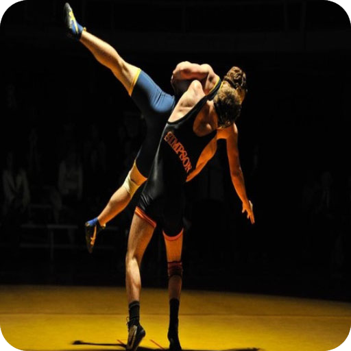 Wrestling video - wwe champions icon