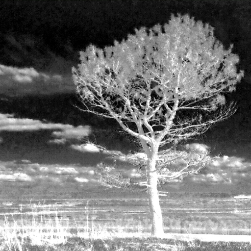 SpectraCam — See invisible. Near IR &amp; UV camera. icon