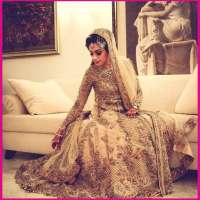 Pakistani Bridal Dresses By Zari Collection on 9Apps