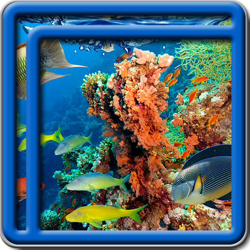 Coral Reef Live Wallpapers icon