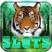 Tiger Spin Slot