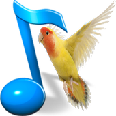 Best Bird Ringtones 2016 icon