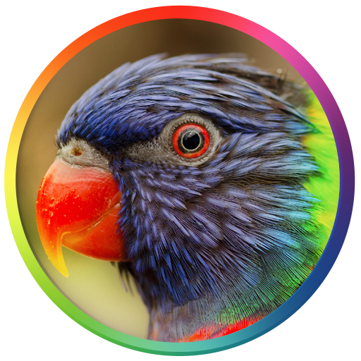 Best Bird Sounds And Ringtones icon