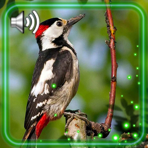 Birdsong Forest icon