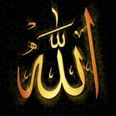 سلسلة هو الله - صالح المغامسي بدون نت أيقونة