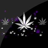 Cannabis HD Live Wallpaper on 9Apps