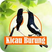 Masteran Kicau Burung Terlengkap on 9Apps