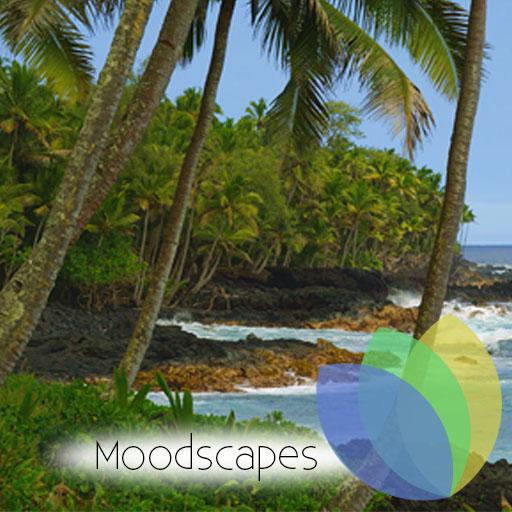 Hawaiian Waves Video &amp; Alarm icon