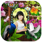 love bird insta pic  photo frame art icon