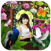 love bird insta pic  photo frame art on 9Apps