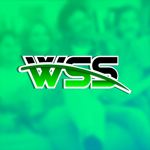 wss infor icon