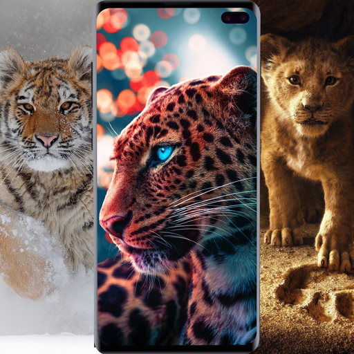 Lion Wallpapers, Cheetah Wallpapers &amp; Panther Wall icon