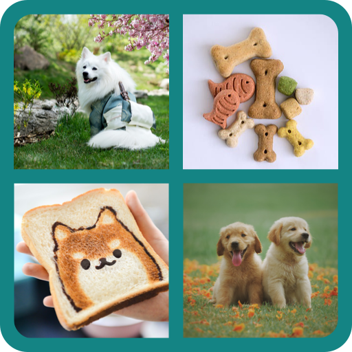 4 Fotos 1 Palabra HD 2021 icon