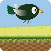 Crazy Bird icon