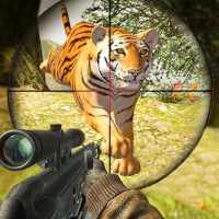 Wild Animal Hunting Games