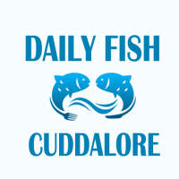 Daily Fish Cuddalore