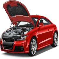 Car Brain Free (OBD2 ELM327)