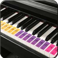 Real Piano Learning Keyboard