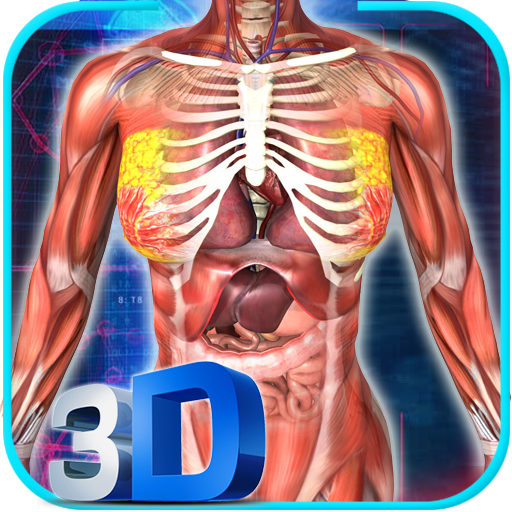 ikon Female Anatomy 3D : Female Body Visualizer