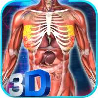 Female Anatomy 3D : Female Body Visualizer on 9Apps