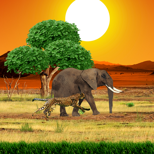 Сафари Живые Обои иконка