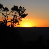 Grand Canyon Live Wallpaper icon