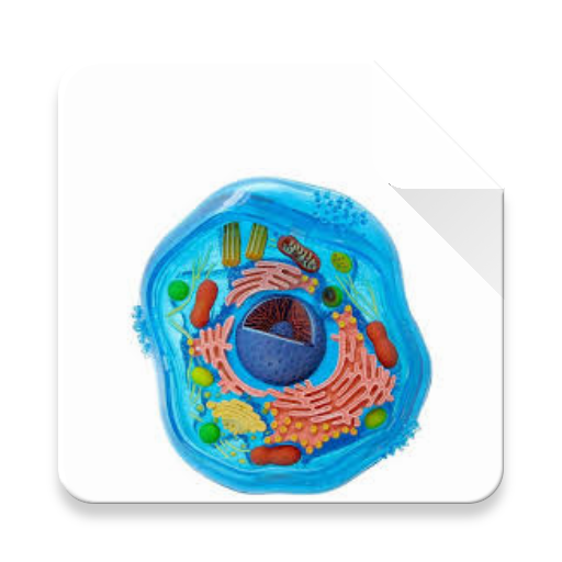 Cell- Organelles icon