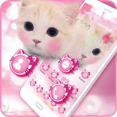 Cute Pink Bow Kitty Launcher on 9Apps