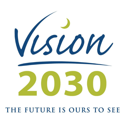 VISION 2030 أيقونة