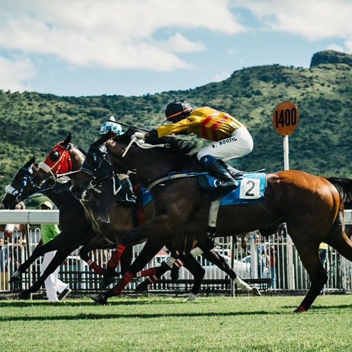 Horse Racing Wallpaper आइकन