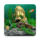 Fish Ornamental Wallpaper 3D icon
