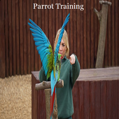 Parrot Training icon