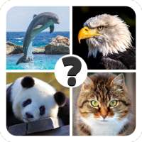 Animais quiz