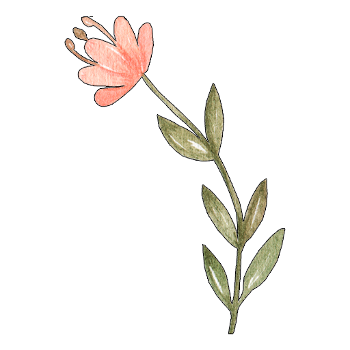 WAStickerApps Flowers for WhatsApp 2020 icon