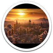 Hd Images Light Ray LWP icon