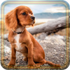 Puppy Songs live wallpaper أيقونة